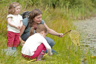 A mum and two little girls pond dipping with a small yellow net.