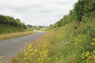 A road on a cloudy day, with a large grassy bank to its right filled with wildflowers and lined with trees