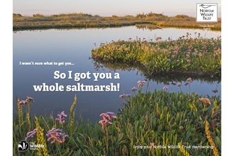 A beautiful saltmarsh landscape with pools of water