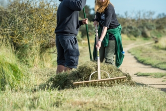 Two people rake grass by the side of a path on a sunny day
