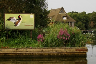 A view of the floating visitor centre and Ranworth signage from the water.