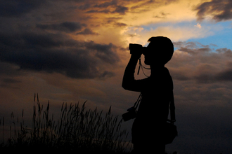The silhouette of a bird watcher at sunset, with yellowy clouds and swaying reeds in the background. 
