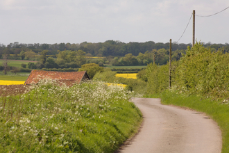 Meandering road running through rural Norfolk in the summer, with lush green hedgerows and fields in bloom in the distance.
