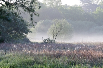 a misty view over NWT Sweet Briar Marshes