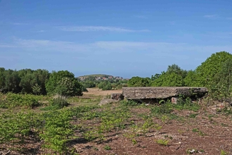 View of Beeston Common Pill-box Hill on a sunny day
