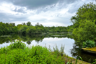 Moody skies reflected on the broad and lush green vegetation all around.