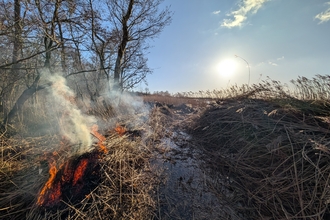 Reed being cut and burned at Barton Broad