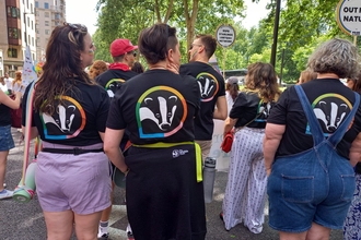 A crowd of people with their backs to us, wearing t-shirts with the Wildlife Trust badger logos surrounded by rainbow colours