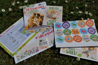 a selection of flyers and stickers on a patch of grass