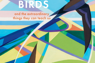 Book cover of The Life Affirming Magic of Birds by Charlie Bingham