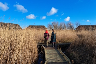 two people on a boardwalk between the reeds