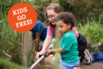 A child and parent are pond dipping at Hickling Broad nature reserve