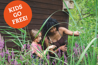 A child and adult admire rosebay willowherb outside a hide at Ranworth Broad nature reserve