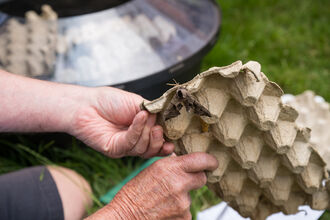 Hands are holding an egg carton with a moth on it!
