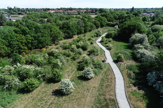 An aerial image of Sweet Briar Marshes with lots of lush green trees and a long accessible path running through it. 