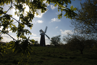 Peering through leafy branches on a sunny day, there is the silhouette of a windmill. 