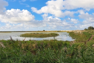 a view across a pool at CLey Marshes