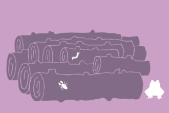 A pile of logs, home to insects and other animals