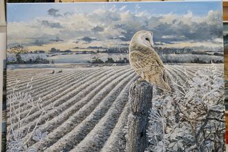A painting of a barn owl sitting on a post in a frosty landscape