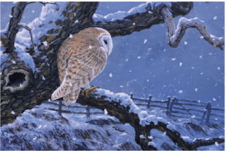 A painting of a barn owl in the snow