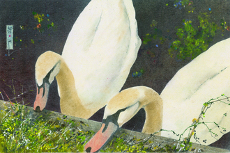 A painting of two mute swans