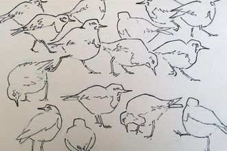 a flock of pencil-drawn outlines of wading birds
