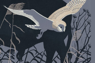 A book cover showing artwork of a barn owl flying in front of cattle 