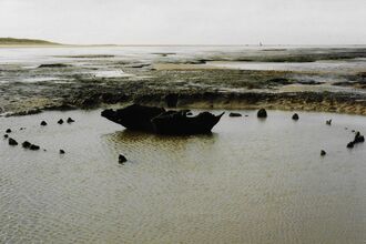 an exposed circle of timber in a seawater lagoon