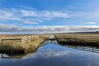a view of a dyke running through reeds