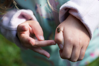 A picture of a child's hand with a minibeast on her thumb,