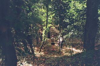 A group of young people standing in a small, sunlight wooded area