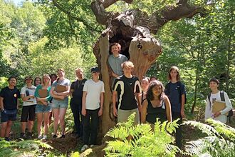 A group of young people standing in a wood under a large tree facing the camera