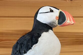 Top half of a ceramic puffin
