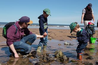 A man with two young boys standing in a rockpool on a beach and looking in the water