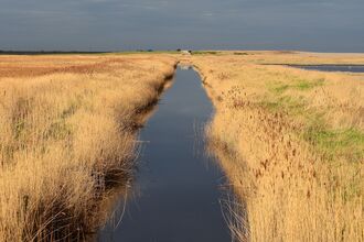 a view over cley marshes