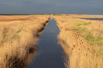a view over cley marshes