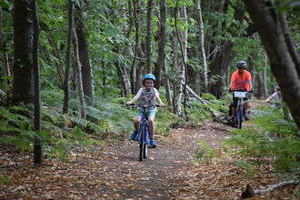 Cyclists in a woodland at Broadland Country Park. 