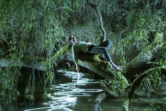An album cover showing Sam Lee reclining on a horizontal tree branch across a stream with sparkling white patterns on the water