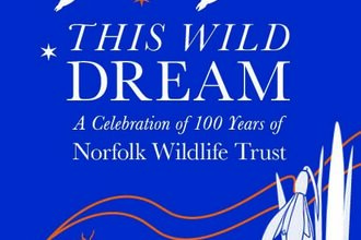 A bold, blue book cover with stars, snowdrop and geese silhouettes.