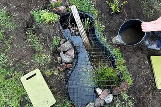 A small pond covered by netting with a person hands pouring water into the pond from a bucket