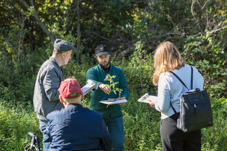 A group of people standing in a woodland with clipboards studying foliage
