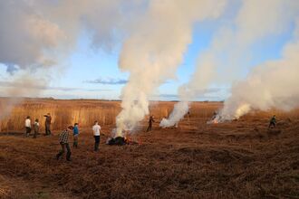 A group of young people standing in a field with several small bonfires creating white smoke in the sky