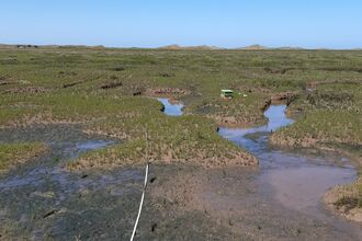 A view across Norfolk saltmarshes