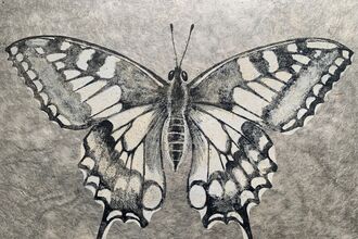 A black and white sketched print of a swallowtail butterfly