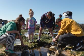 A family looking into a rockpool