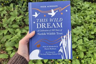 A cobalt blue book with white and copper wildlife illustrations is held against a background of green plants