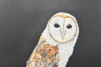 A textured artwork of a barn owl