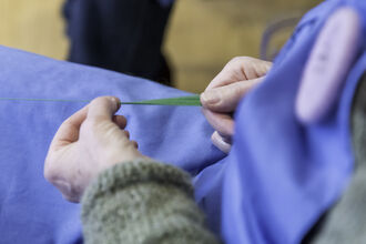 A close up of someone in a blue apron holding a blade of long grass.
