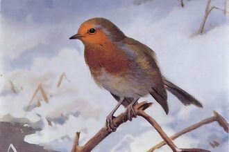 A painted robin perches on a branch in the snow
