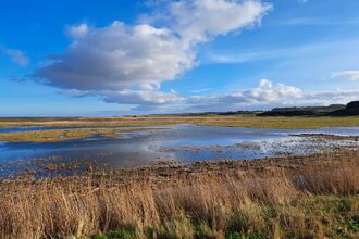 View of Cley marshes on a sunny day
